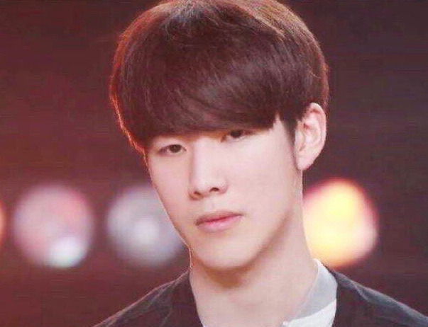 无论是阵容 无论是阵容